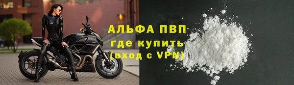 дурь Бородино