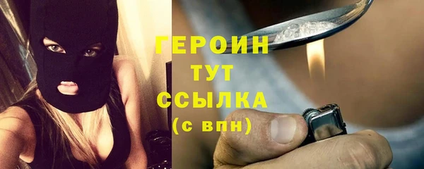 дурь Бородино