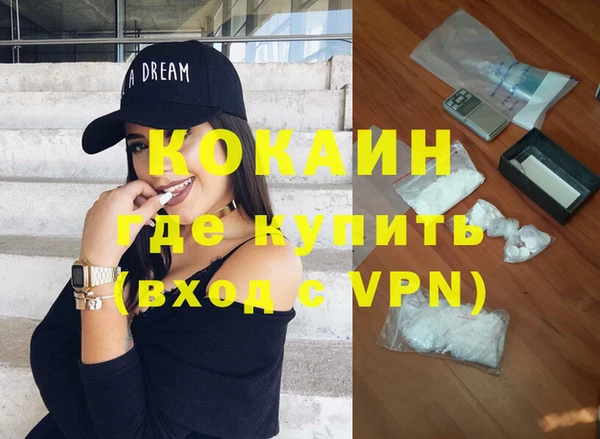 дурь Бородино