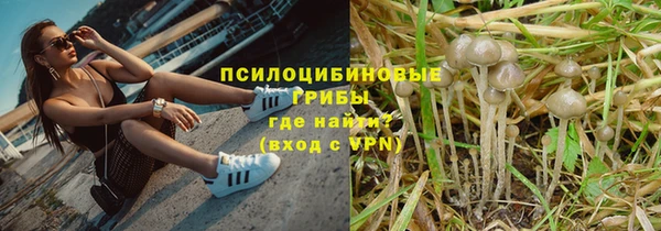 дурь Бородино