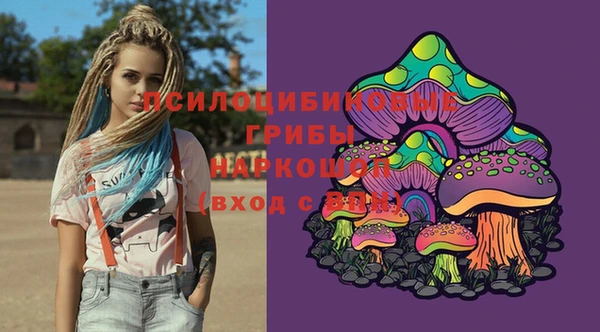 дурь Бородино