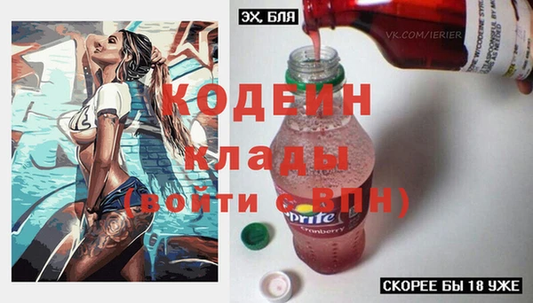 дурь Бородино