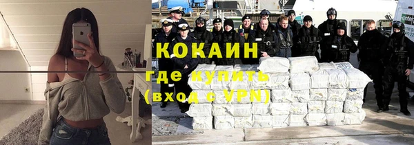 дурь Бородино