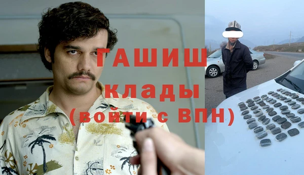дурь Бородино