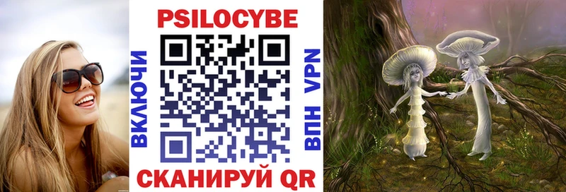 Купить закладки Александровское Псилоцибиновые грибы GOLDEN TEACHER